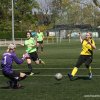 lfc 07 ii - bsv 30.04.2017  4